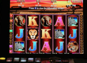 ayx手机版登录入口2024最新版