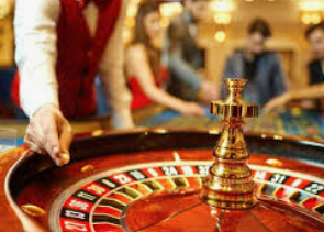 ayx手机版登录入口2024最新版